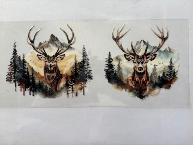 Big Buck