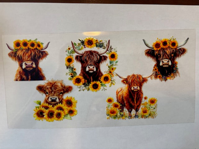 Highland Cow w/Sunflowers