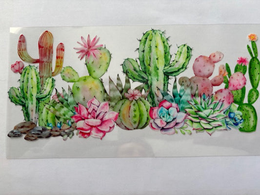 Cactus