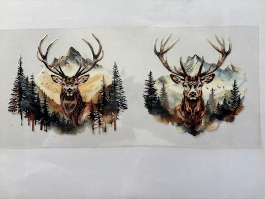 Big Buck