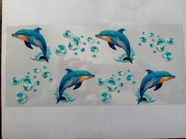 Dolphin